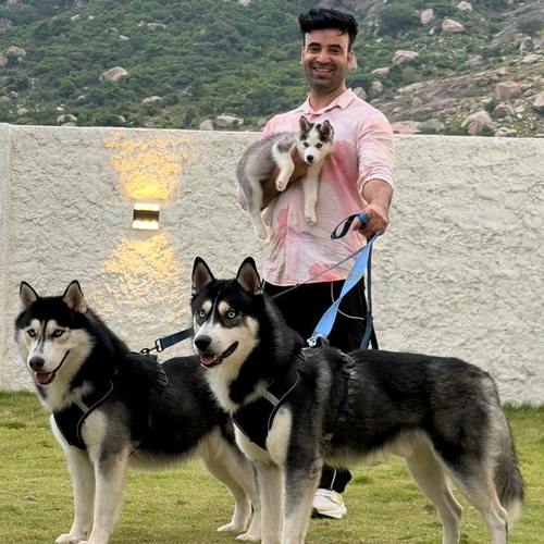 Mohit Ryan with LGM and the huskies
